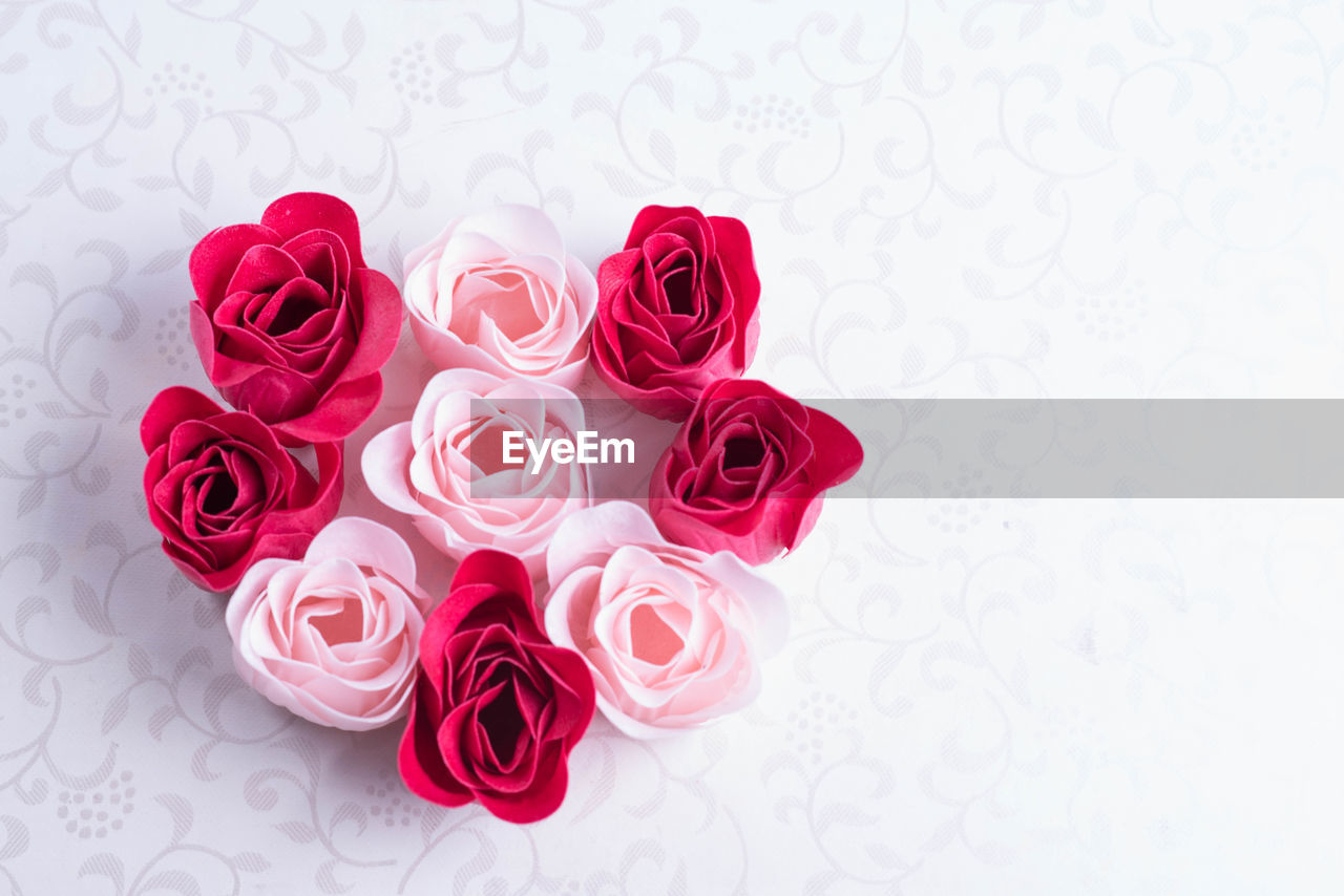 HIGH ANGLE VIEW OF ROSES AGAINST WHITE BACKGROUND