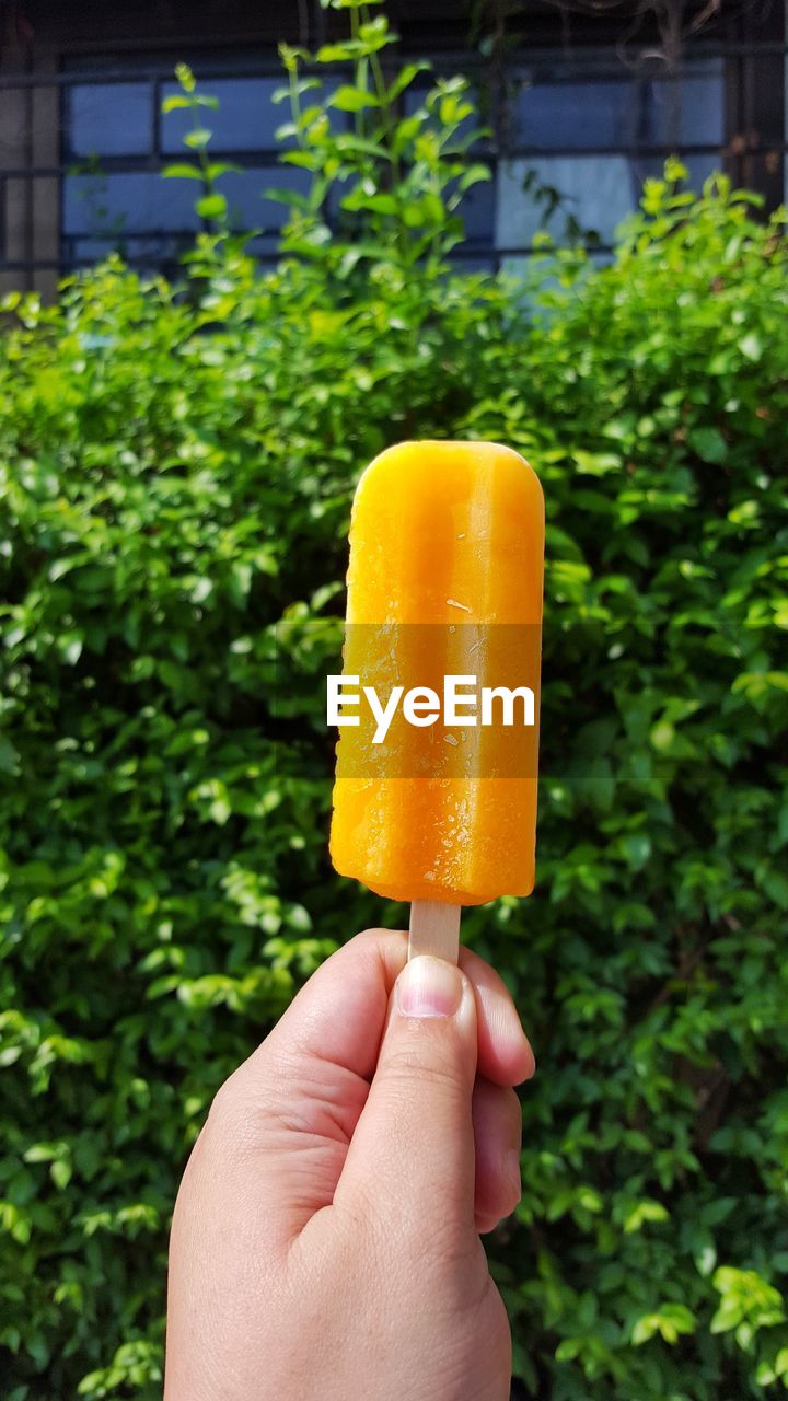 CLOSE-UP OF HAND HOLDING ICE CREAM CONE AGAINST ORANGE BACKGROUND