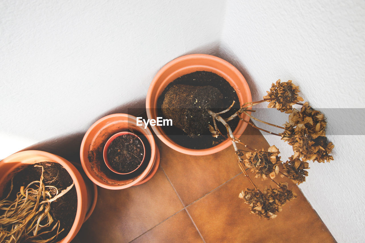 High angle view of potted plants on floor