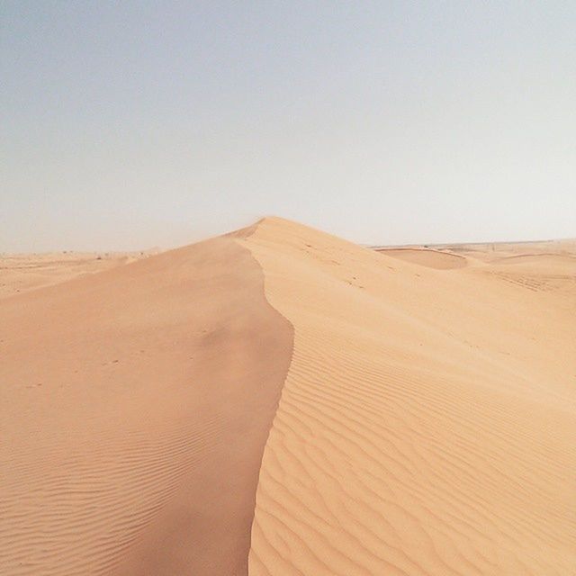 VIEW OF DESERT LANDSCAPE