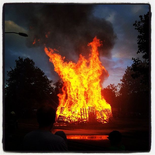 VIEW OF FIRE IN PARK