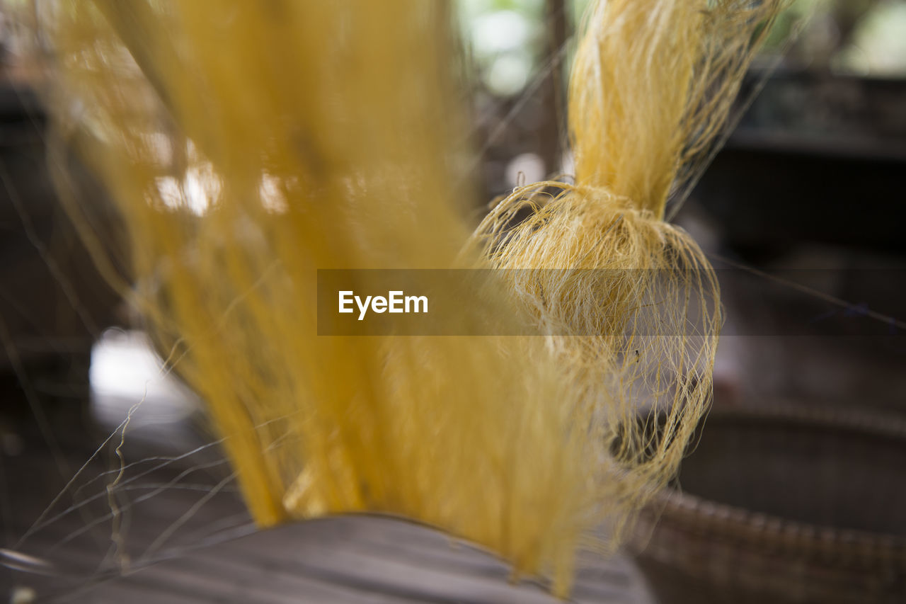 HIGH ANGLE VIEW OF FEATHER IN CONTAINER