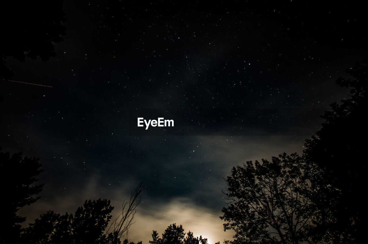 LOW ANGLE VIEW OF SILHOUETTE TREES AGAINST STAR FIELD