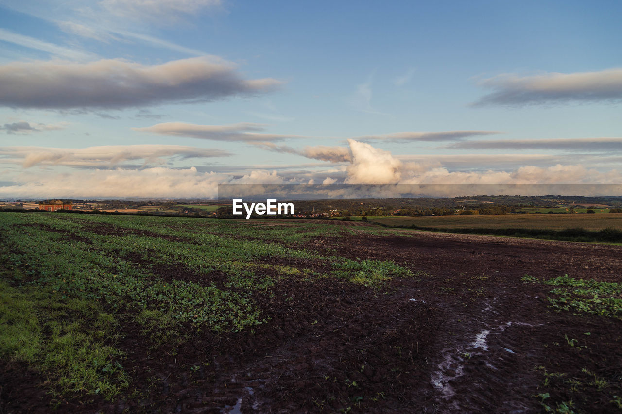 Scenic view of field against sky