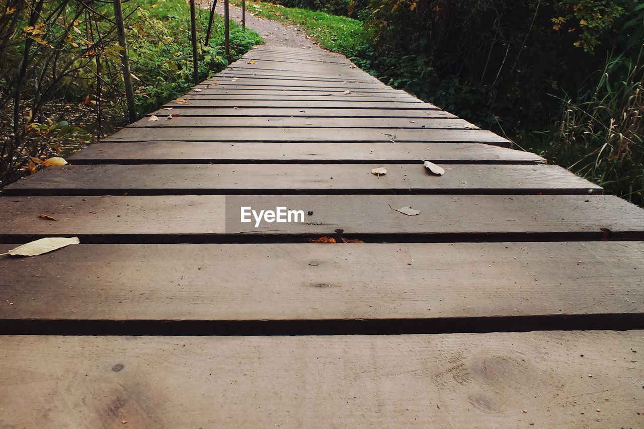 SURFACE LEVEL OF BOARDWALK AMIDST TREES