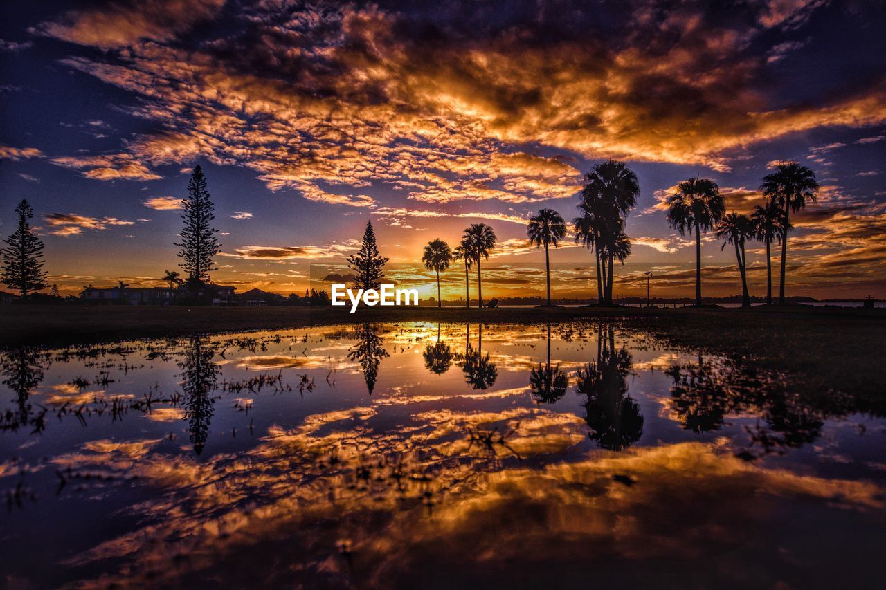 Palm trees against cloudy sky reflecting on lake at sunset