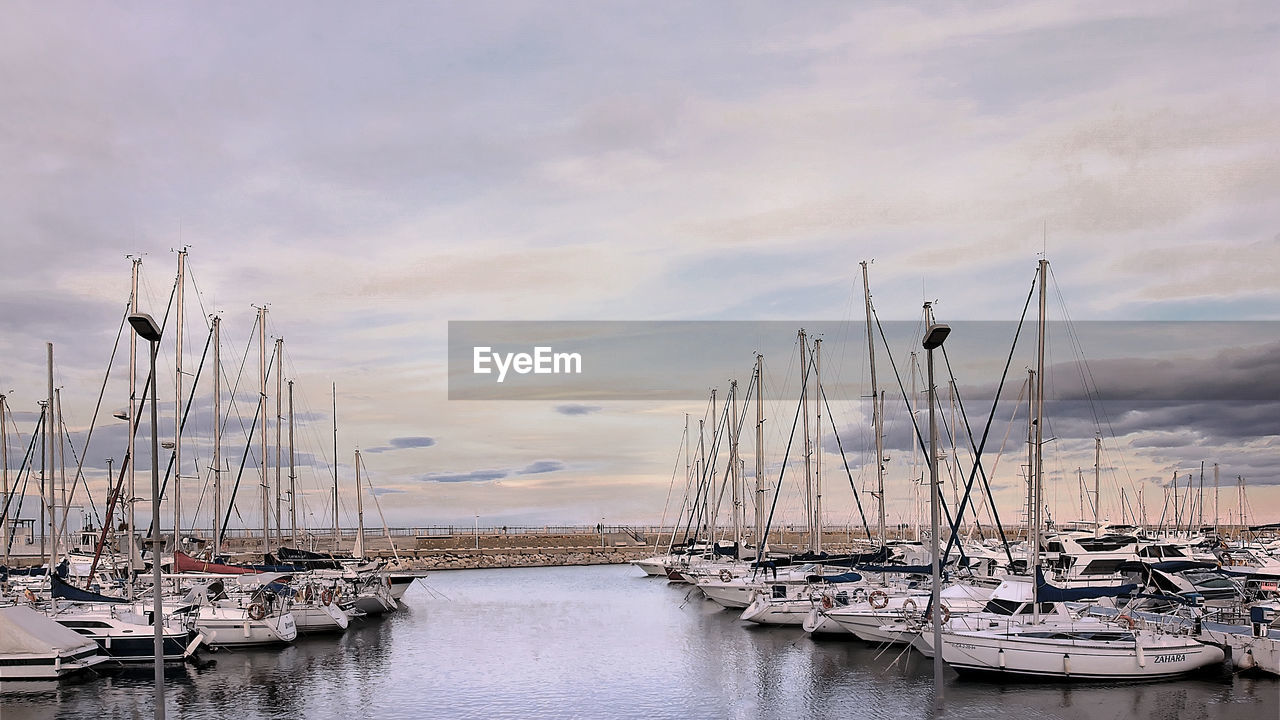 SAILBOATS IN HARBOR