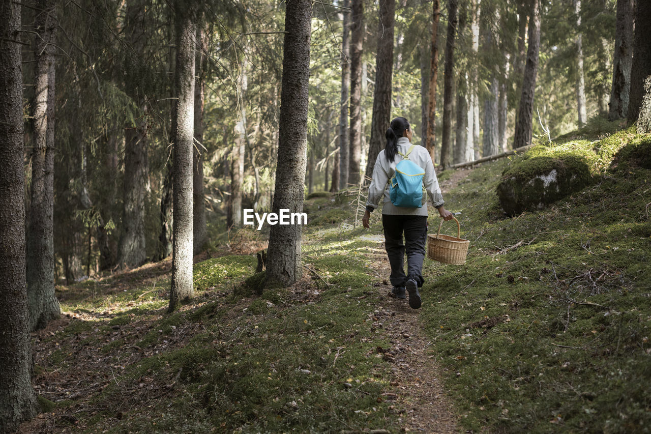 Woman picking mushrooms