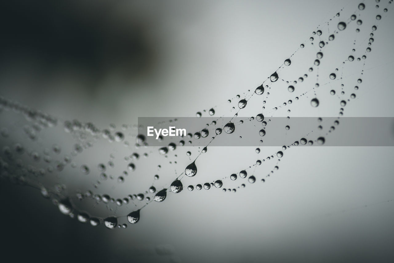 Close-up of wet spider web against sky during rainy season