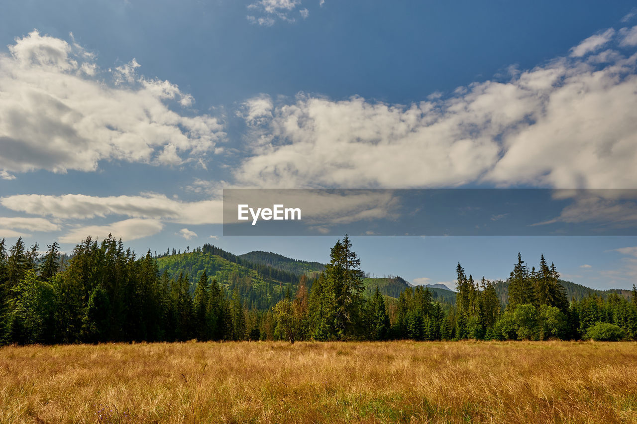 Scenic view of meadow and mountains against sky