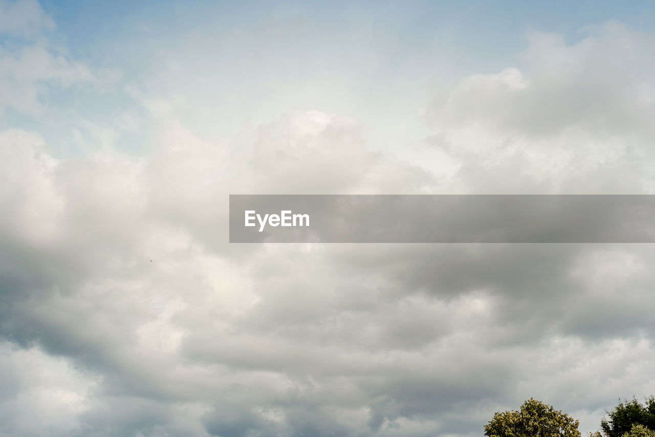 LOW ANGLE VIEW OF TREE AGAINST CLOUDY SKY