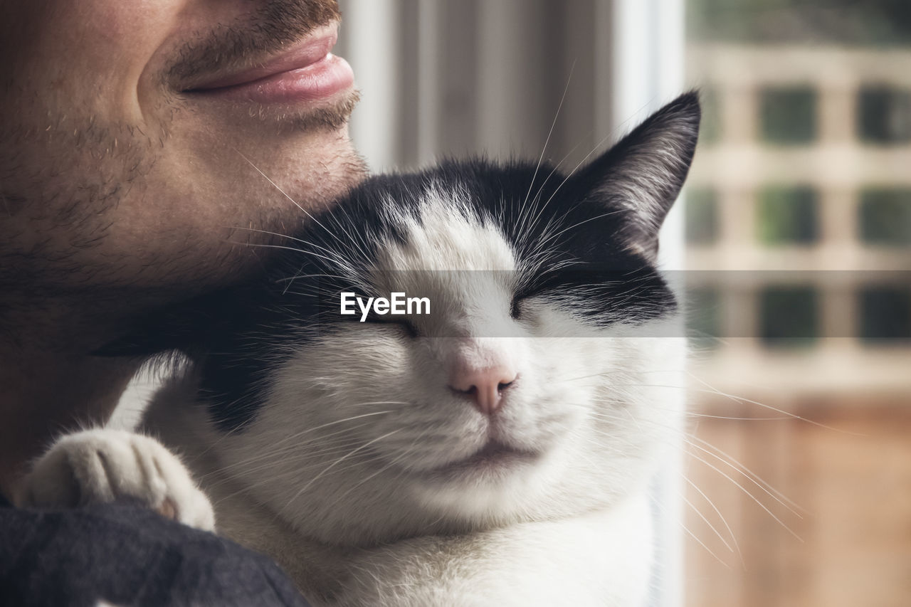 Closeup of a black and white cat cuddled by a man. love relationship between human and cat