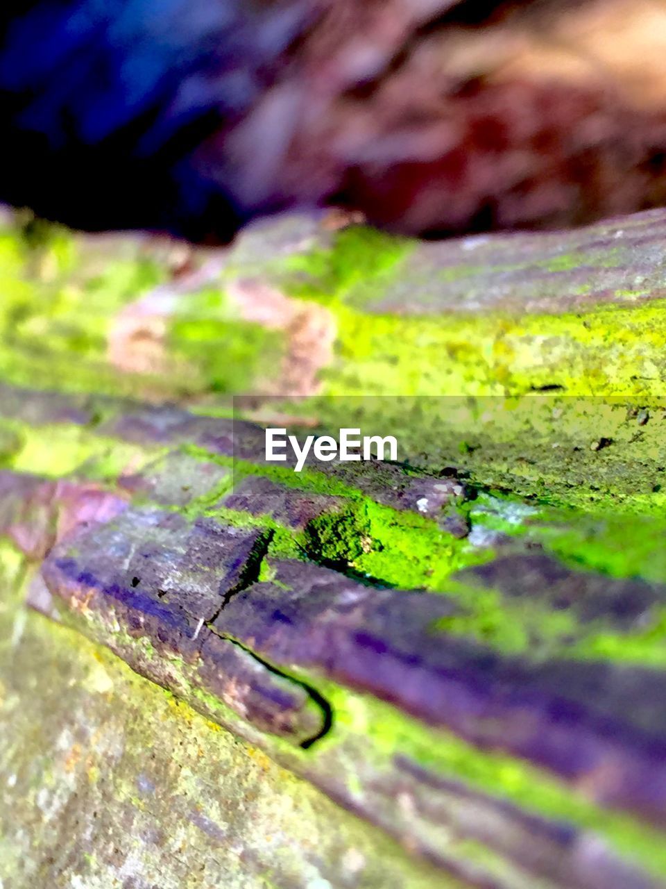 CLOSE-UP OF WOODEN PLANKS