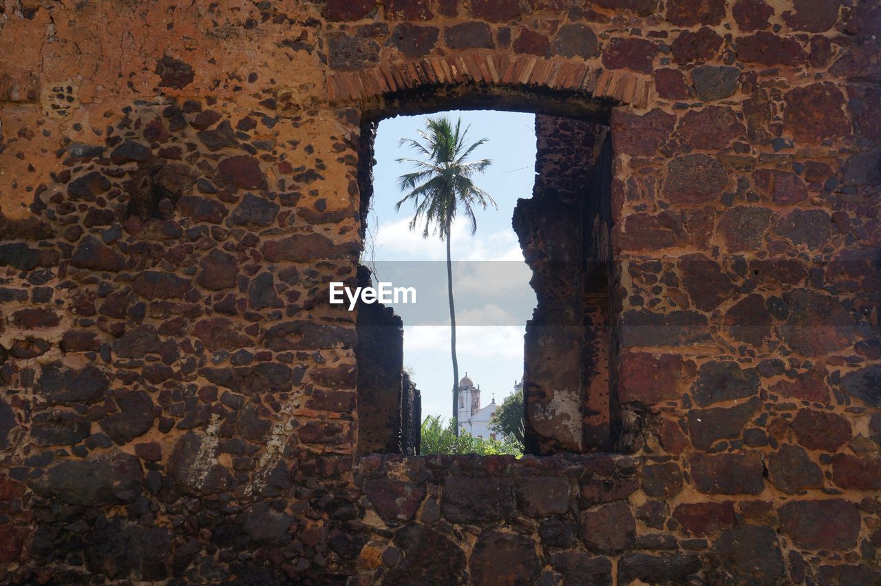 View of tree and sky through old wall