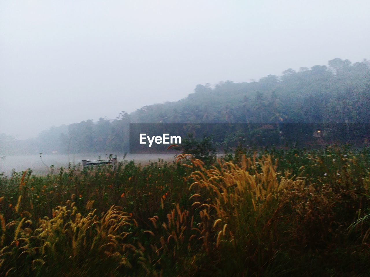 VIEW OF LAKE IN FOGGY WEATHER