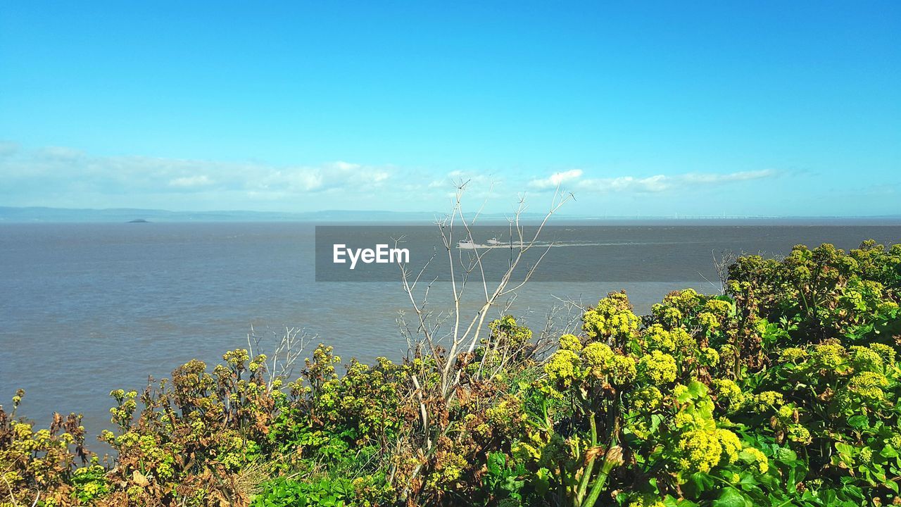 Scenic view of landscape against blue sky