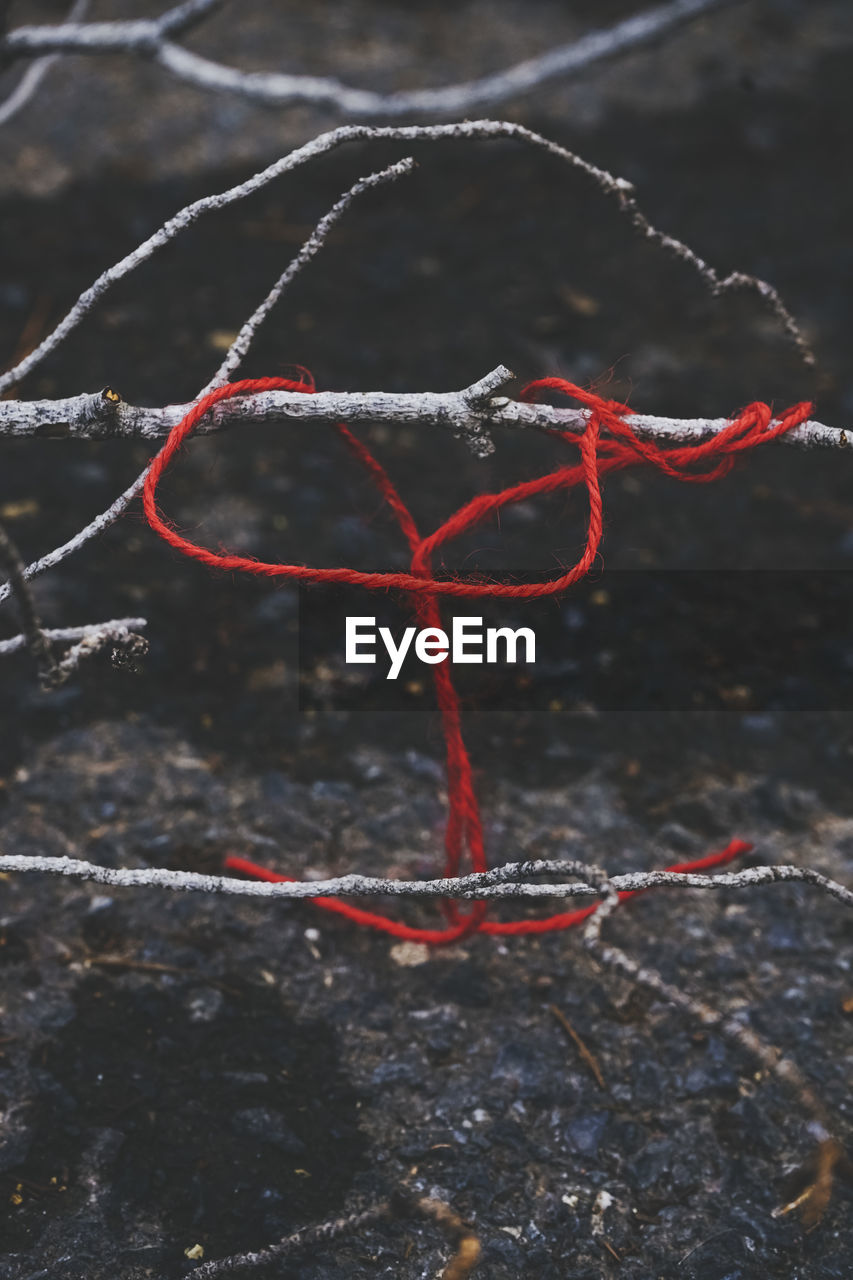 red, no people, close-up, day, nature, outdoors, string, focus on foreground, leaf, rope