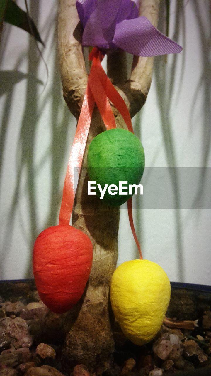 Close-up of multi colored easter eggs hanging from potted plant