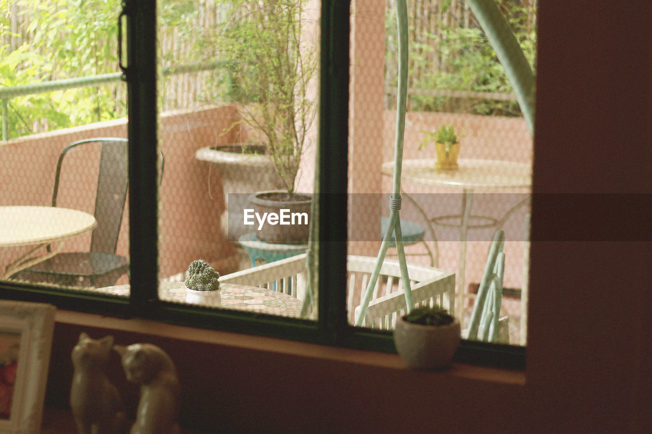 Close-up of potted plant on window sill