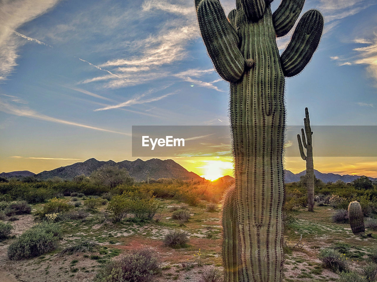 SCENIC VIEW OF FIELD DURING SUNSET