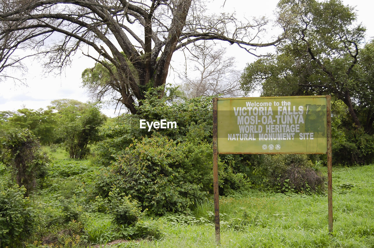 INFORMATION SIGN ON TREES AGAINST SKY