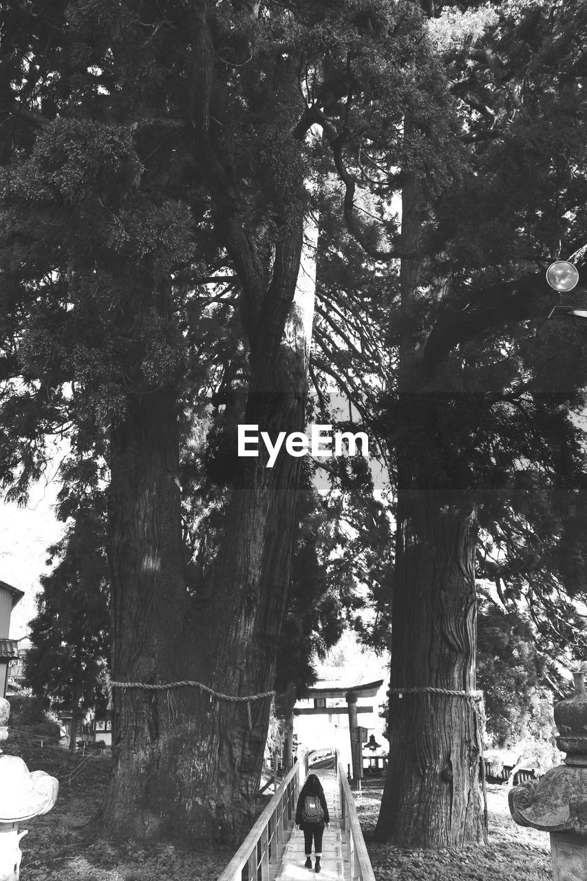 WOMAN STANDING ON TREE TRUNK