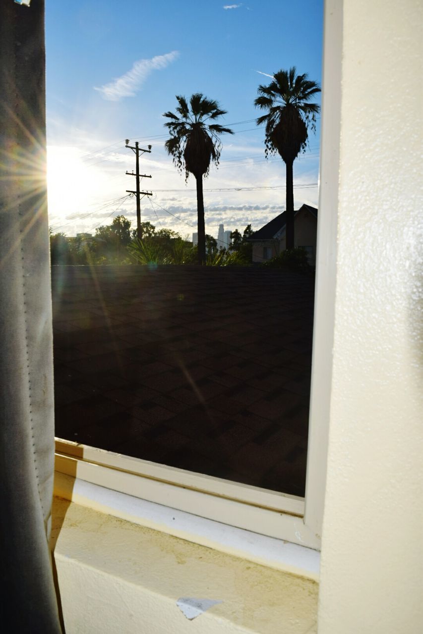 PALM TREES AT SUNSET