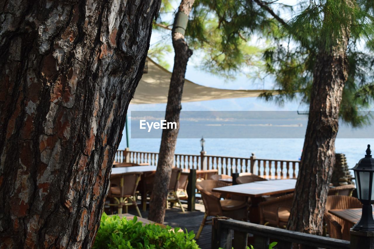 Scenic view of sea by trees against sky