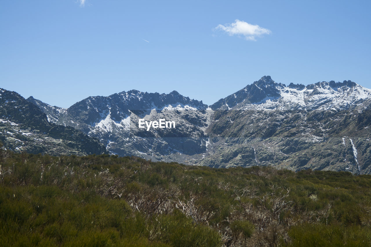 mountain, snow, scenics - nature, environment, sky, mountain range, beauty in nature, landscape, cold temperature, winter, wilderness, nature, plant, snowcapped mountain, land, ridge, travel, no people, travel destinations, tree, pine tree, pinaceae, coniferous tree, grass, mountain pass, meadow, pine woodland, forest, plateau, tranquility, outdoors, mountain peak, tranquil scene, tourism, blue, cloud, adventure, day, non-urban scene, clear sky, leisure activity, walking, activity