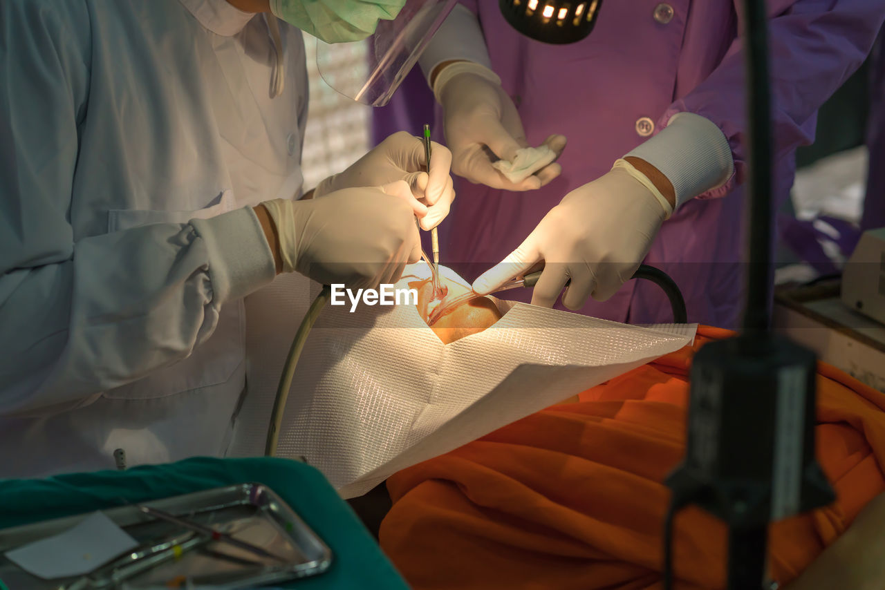 Cropped image of dentist examining patient teeth