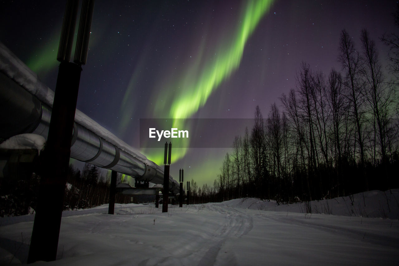 Aurora  over the trans-alaskan pipeline.