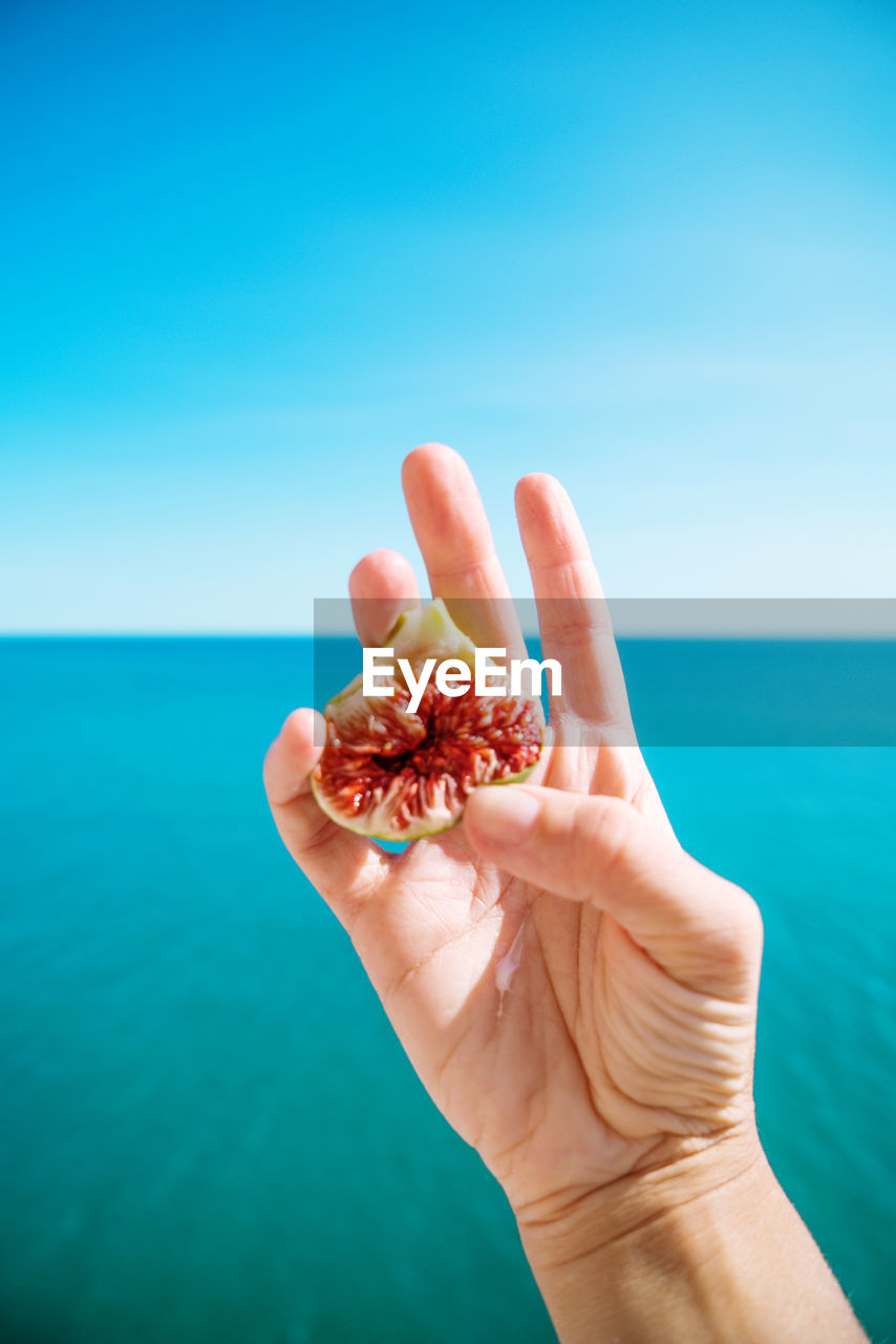 Hand holding fig with sea on the background