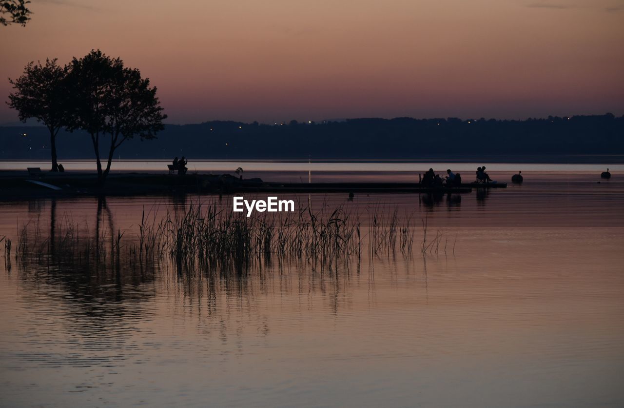 SILHOUETTE PLANTS ON LAKE AGAINST SKY DURING SUNSET