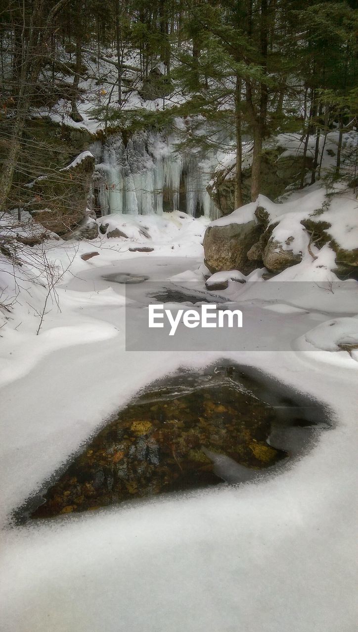 Frozen waterfall in forest