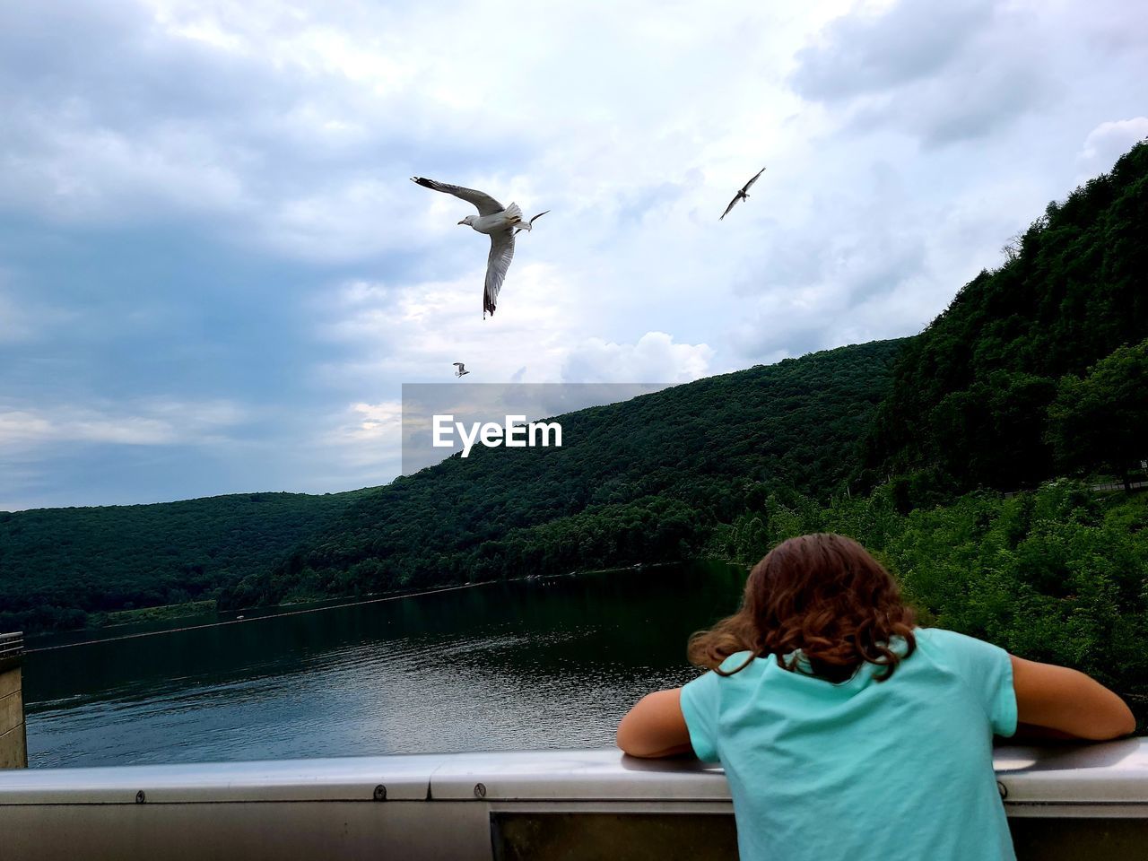 REAR VIEW OF SEAGULLS FLYING AGAINST MOUNTAIN