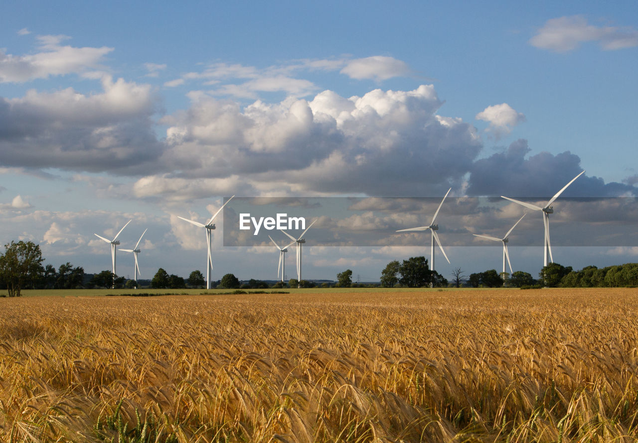 Wind turbines in a field against sky