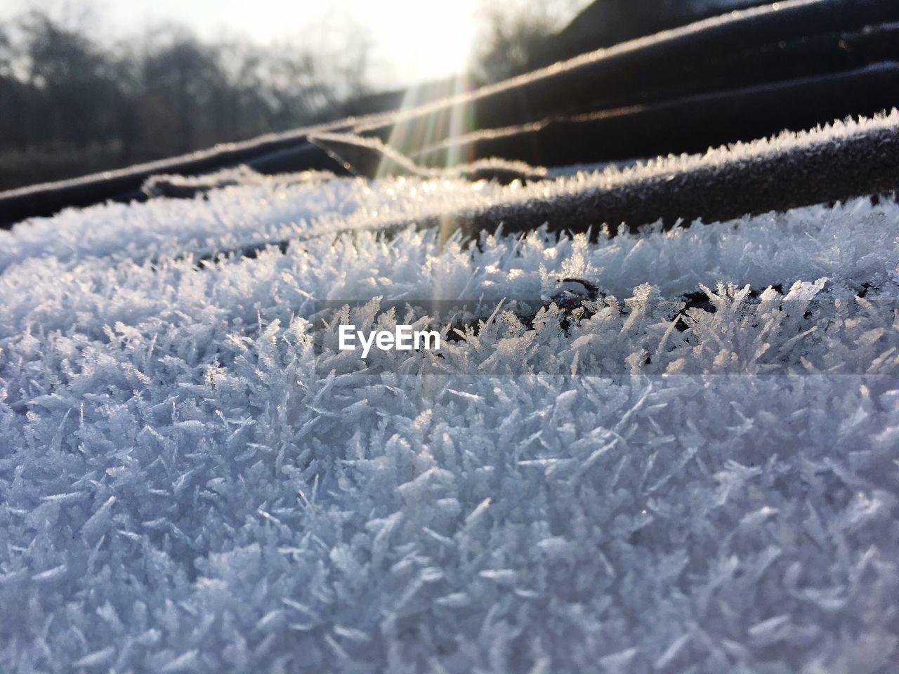 SNOW ON FIELD DURING WINTER