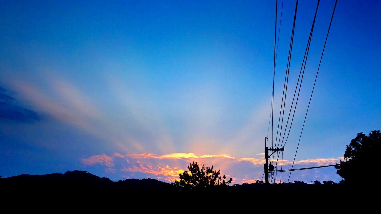 LOW ANGLE VIEW OF SILHOUETTE TREES AT SUNSET