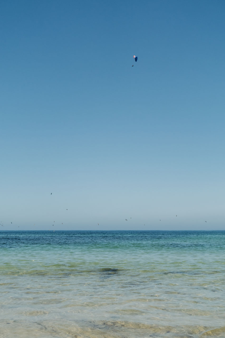 SCENIC VIEW OF BEACH AGAINST CLEAR SKY