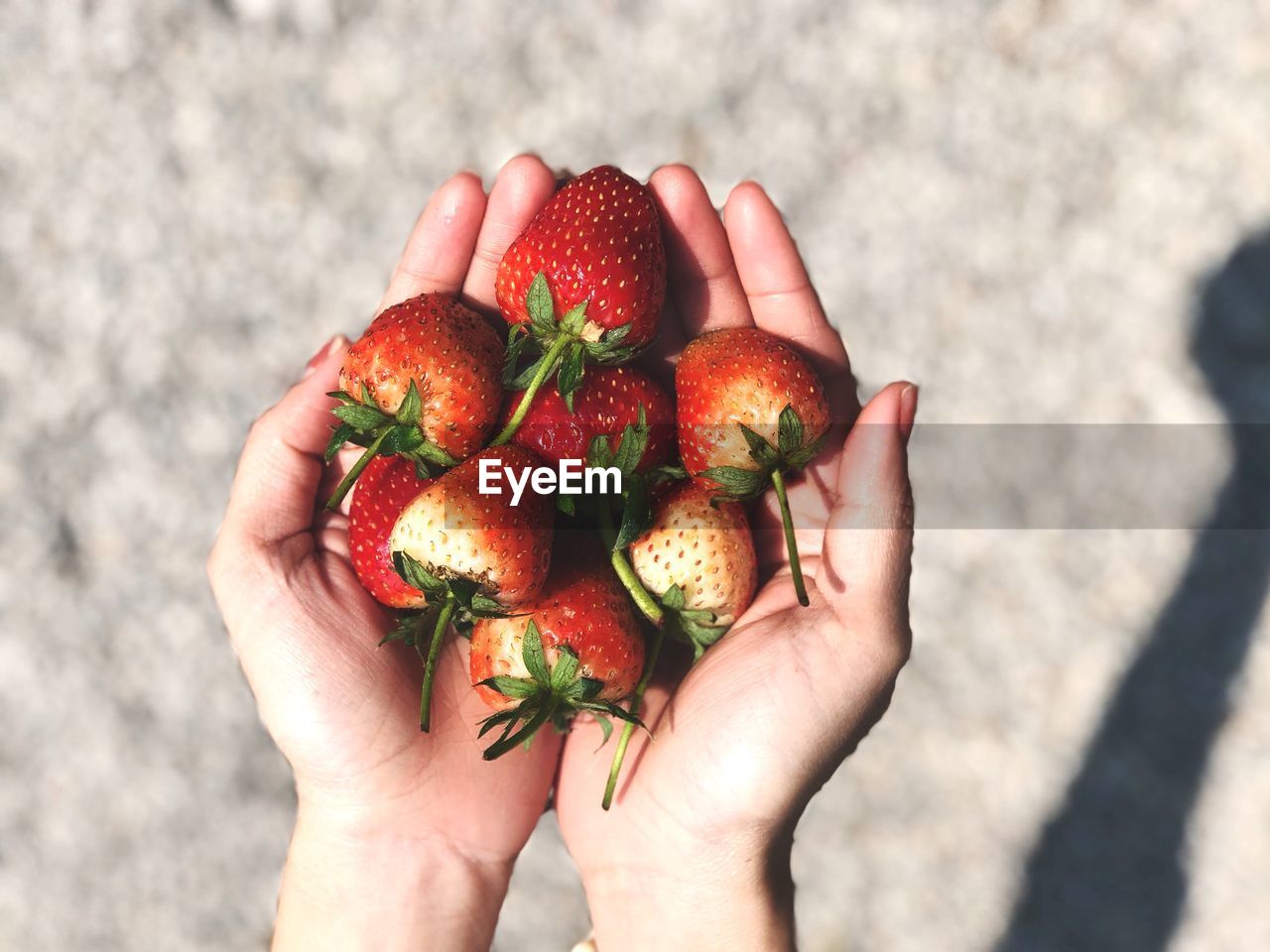 Cropped hands holding strawberries