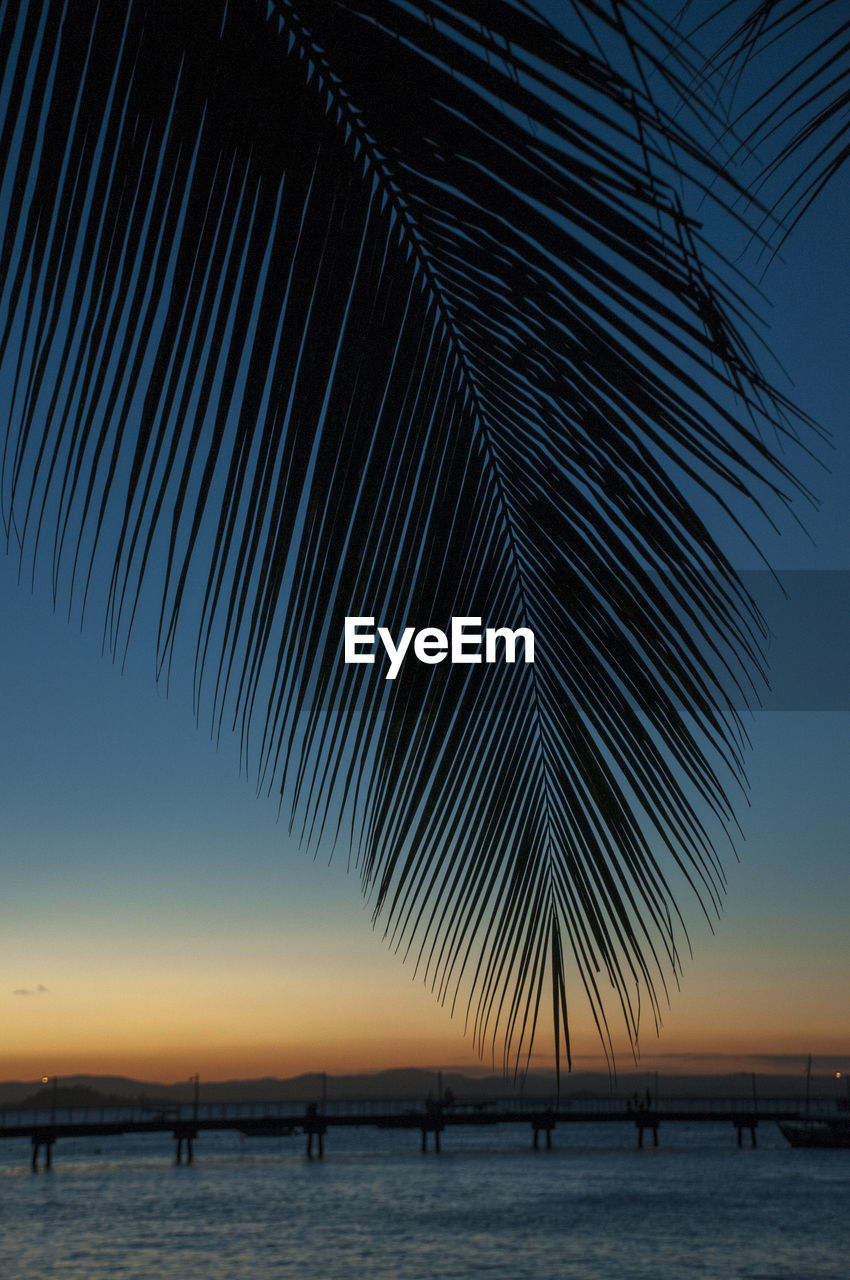 SILHOUETTE PALM TREES ON BEACH AGAINST CLEAR SKY AT SUNSET