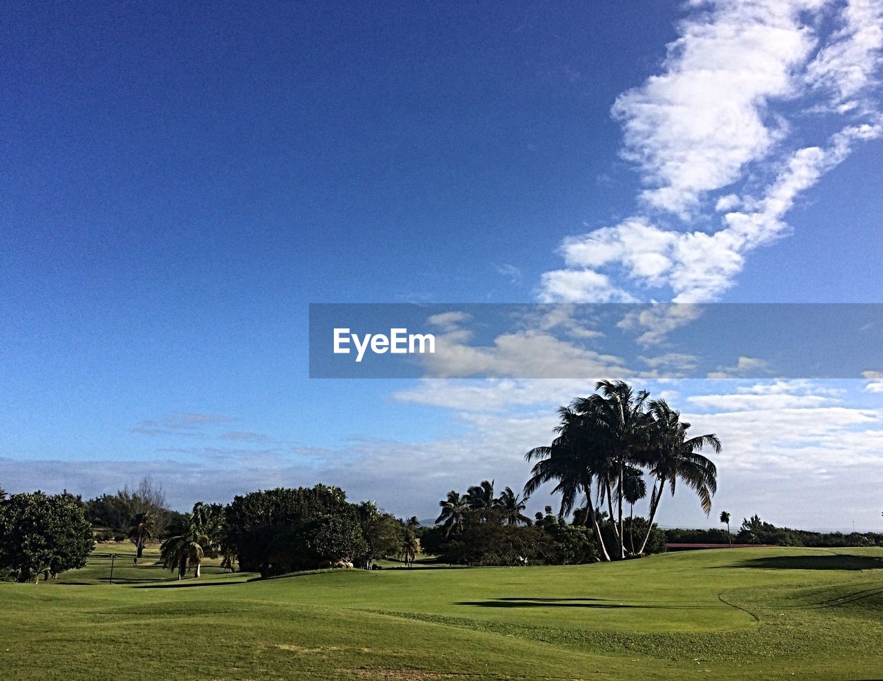 VIEW OF GOLF COURSE AGAINST BLUE SKY