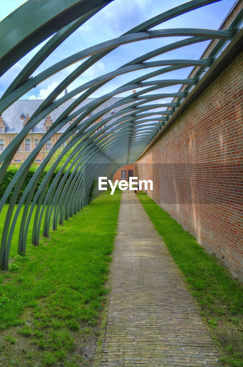 EMPTY FOOTPATH AMIDST PLANTS