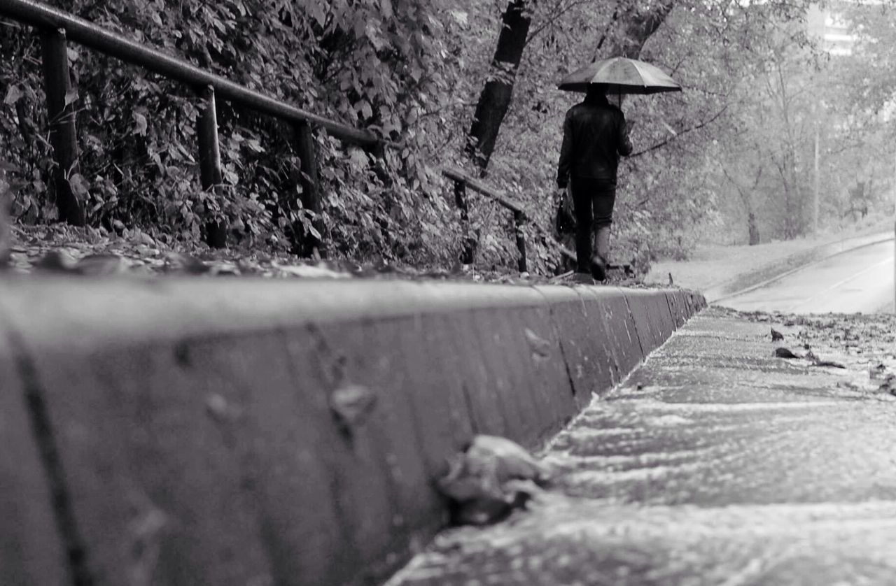 SURFACE LEVEL OF PEOPLE WALKING ON ROAD