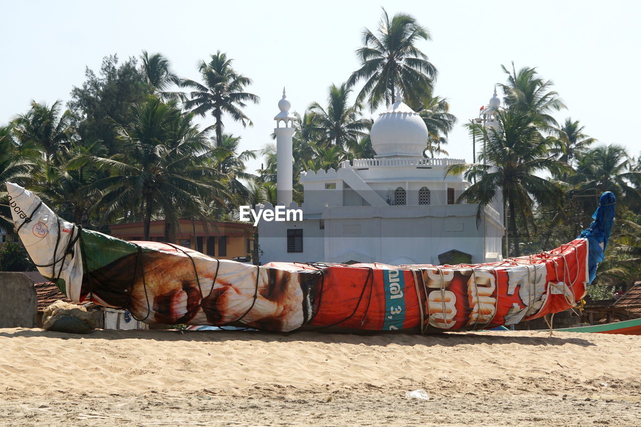 HORSE CART BY PALM TREES