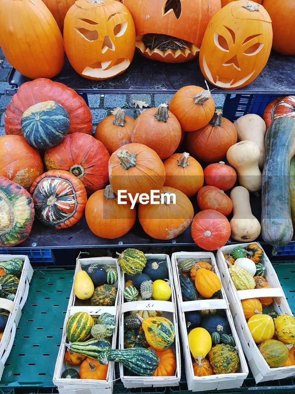 HIGH ANGLE VIEW OF VARIOUS PUMPKINS FOR SALE AT MARKET