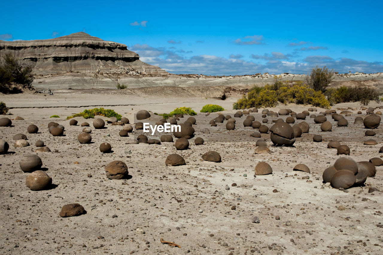 ROCKS ON ARID LANDSCAPE