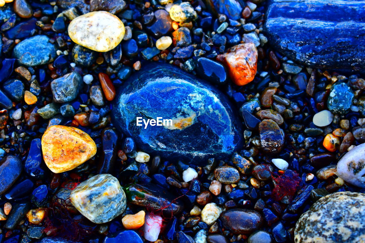 CLOSE-UP OF CRAB ON BEACH