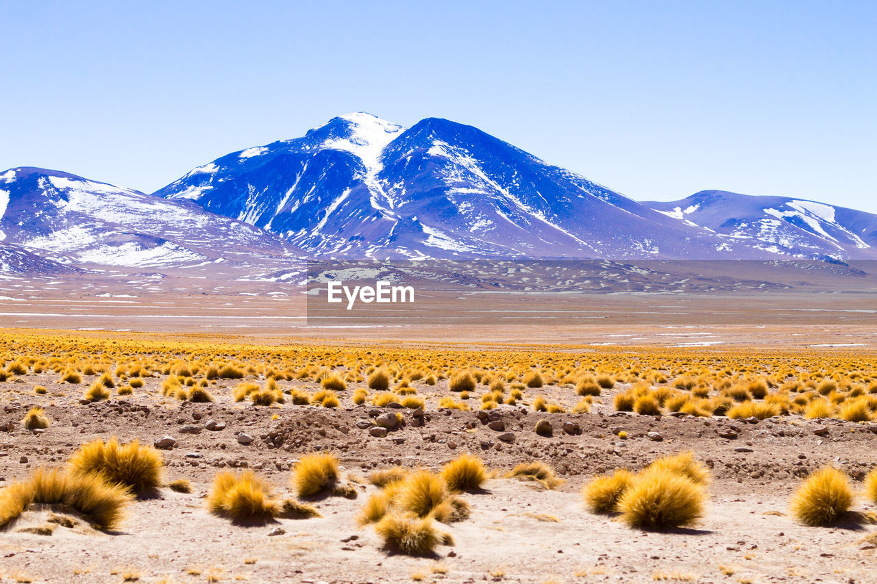 SCENIC VIEW OF SNOWCAPPED MOUNTAINS AGAINST SKY DURING WINTER