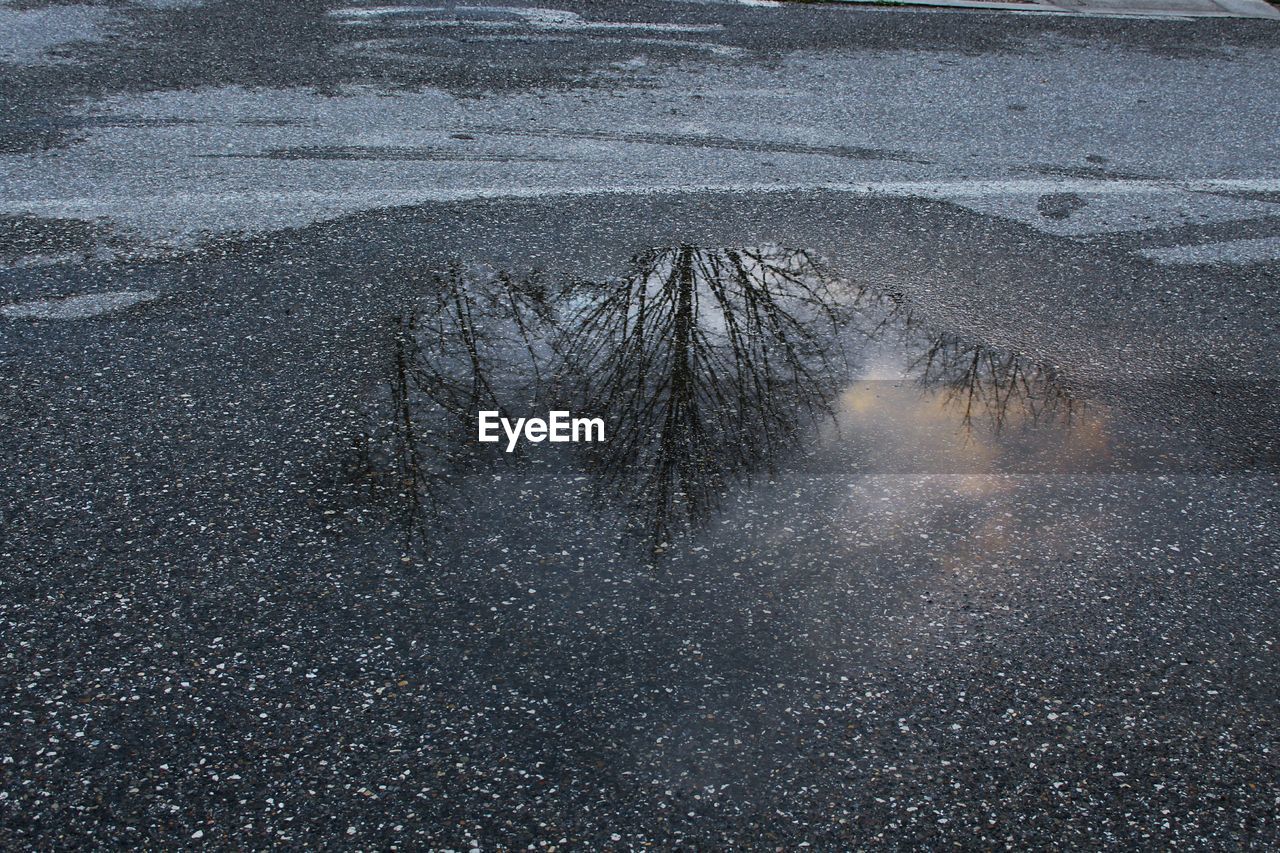 CLOSE-UP VIEW OF SNOW